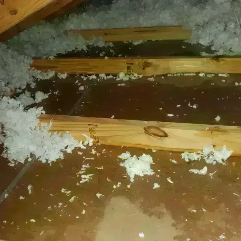 Attic Water Damage in Crawford County, PA